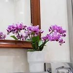 Palazzo Schiavoni Residenza D'epoca & Suite-apartments 4* Venecia