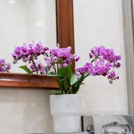 Palazzo Schiavoni Residenza D'epoca & Suite-apartments 4* Venecia